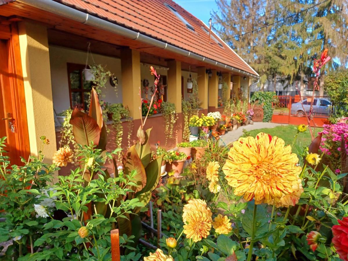 Ferienwohnung Tulipan Haz Bodony Exterior foto