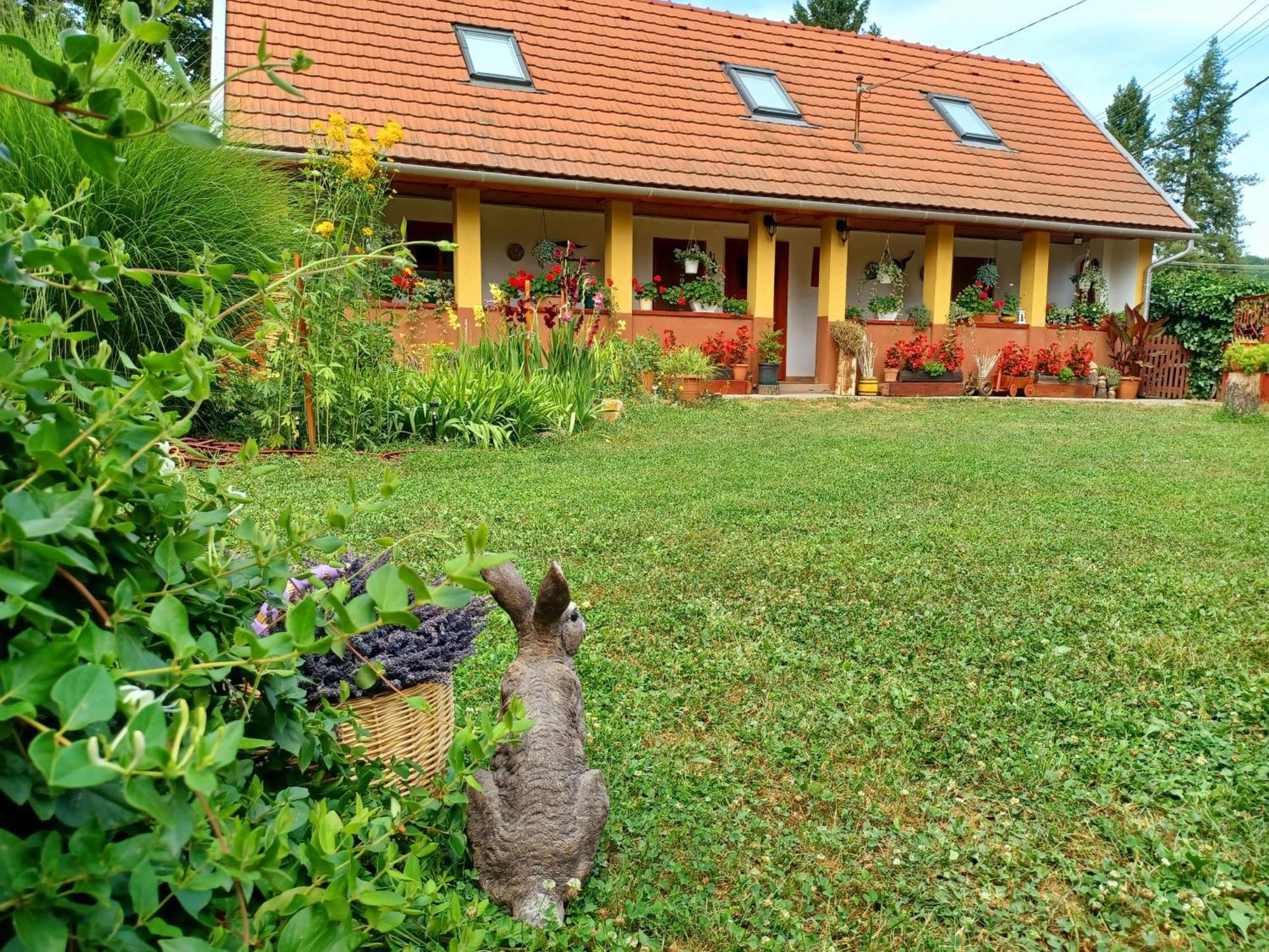 Ferienwohnung Tulipan Haz Bodony Exterior foto